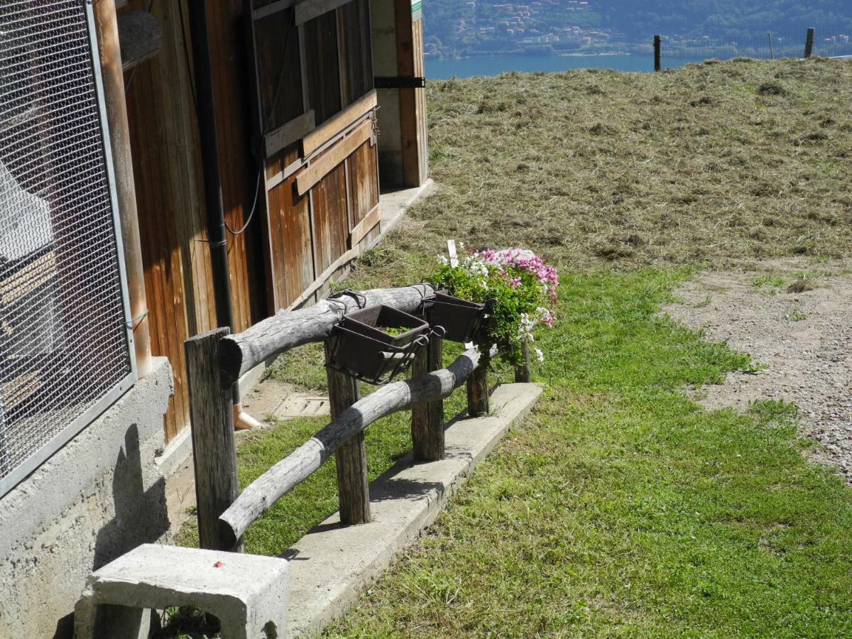 Agriturismo Piccolo paradiso Pianello Del Lario Exterior foto